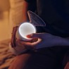 lionelo Fidi One — Tire-lait électrique